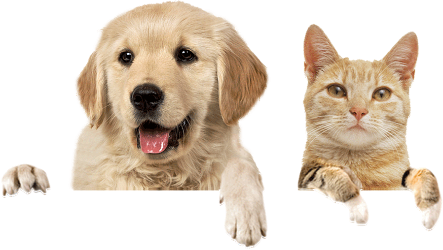 1e5bbfee image 15 1.png